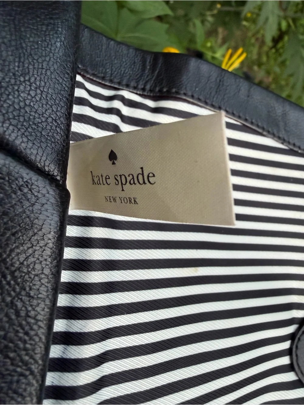 kate spade kate spade